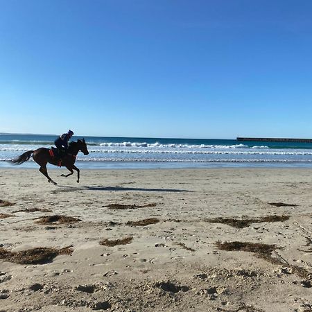 Barkly Beach House Warrnambool Villa ภายนอก รูปภาพ