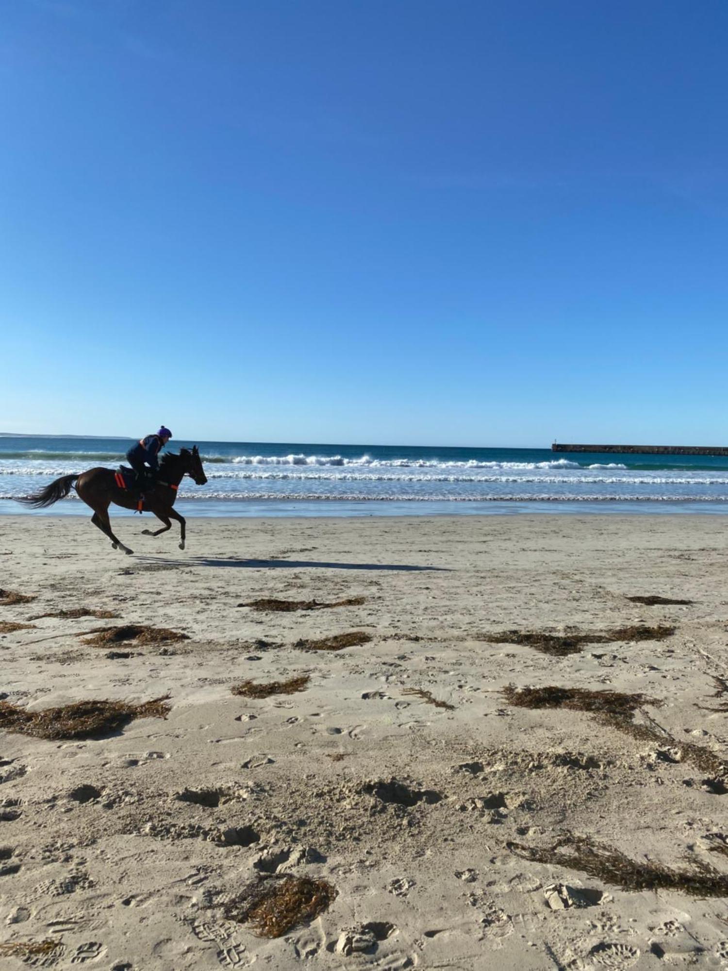 Barkly Beach House Warrnambool Villa ภายนอก รูปภาพ